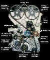 Timing Belt Layout