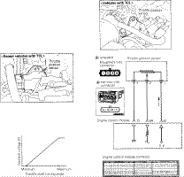 wpe12.gif (48073 bytes)