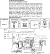 395.gif (50669 bytes)