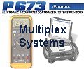 Multiplex Systems